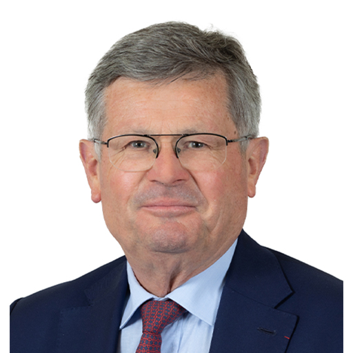 Philippe Bonnecarrère (Président)