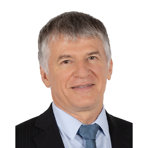 Philippe Folliot (Rapporteur)