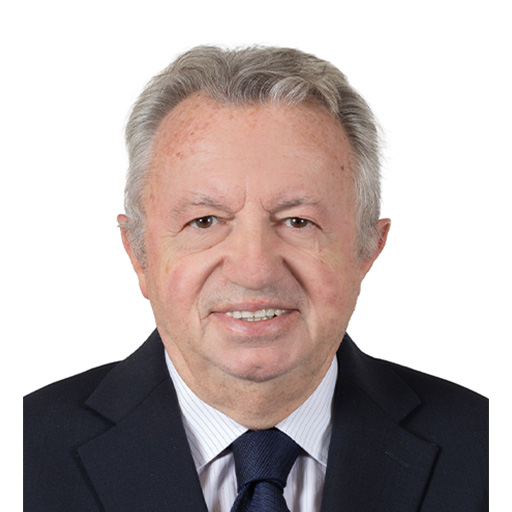 Jean-Noël Guérini (Rapporteur)