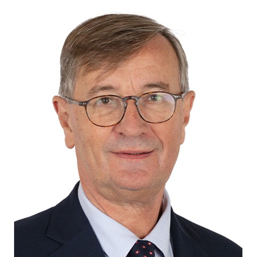 Jean-Michel Houllegatte (Rapporteur)