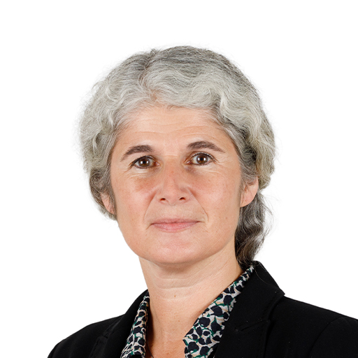Marianne Margaté (Rapporteure)