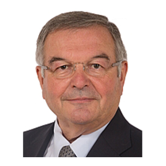 Michel Mercier (Rapporteur)