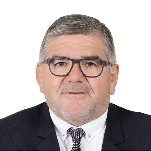 Christian Redon-Sarrazy (Président)